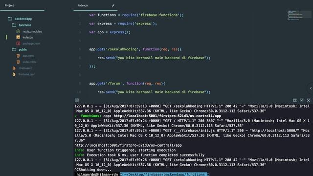Firebase hosting dinamis nodejs смотреть онлайн