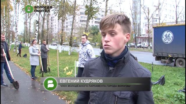 Кленовая аллея появилась на улице Чехова смотреть онлайн