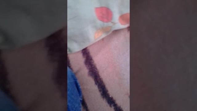 Новая пиротехника.Тортуга-6,тортуга-8,Гремлины на 10 залпов. смотреть онлайн