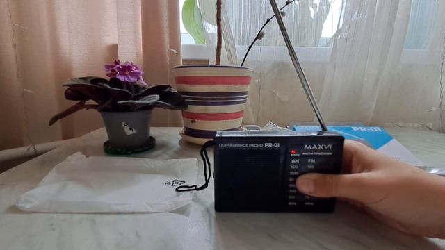 портативное радио Maxvi PR 01