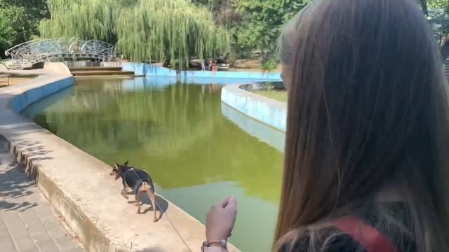 Идём на ПИКНИК ! Скоро Расскажу секрет / МИЛА боится ГУСЯ ?10.08.20 Наша Маша влог смотреть онлайн