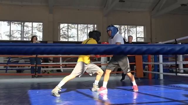 Тренировочные сборы женской национальной команды по боксу перед чемпионатом Азии в Таиланде смотреть онлайн