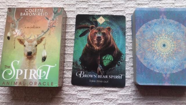 The Spirit Animal Oracle 09/68 Brown Bear guide book audio description смотреть онлайн