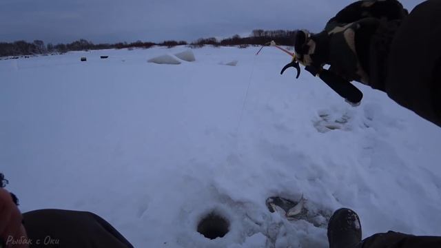 ПОКЛЕВКИ КРУПНЫМ ПЛАНОМ! Рыбалка на Оке 2022! Зимняя рыбалка 2022! смотреть онлайн