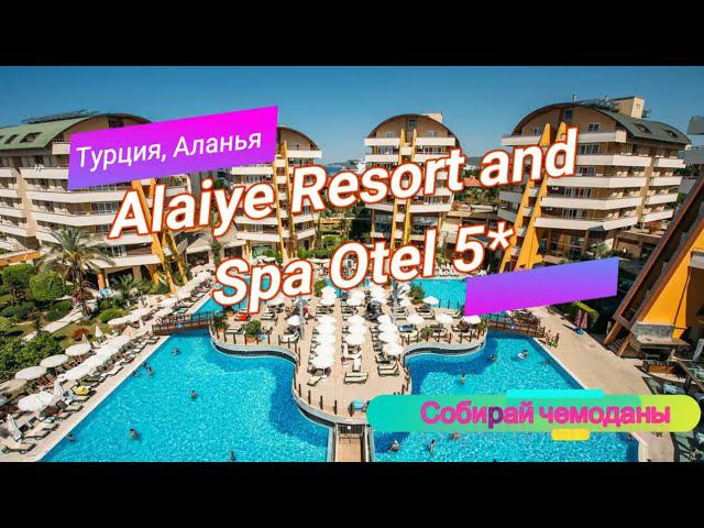 Отзыв об отеле Alaiye Resort and Spa Otel 5* (Турция, Аланья) смотреть онлайн