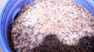 РЕЦЕПТ ЗИМНЕЙ ЧАЧИ ВИНО ИЗ ИЗЮМА НА ТУРБО ДРОЖЖАХ