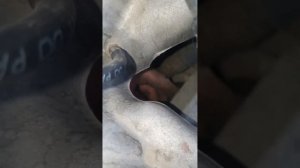 Замена свечей Toyota Camry 20/25/gracia 3.0 литра V6 1mz-fe