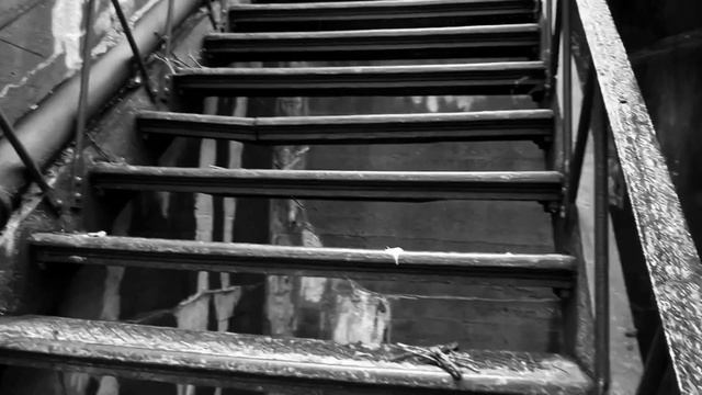 Roman Turovsky - "Cantio Lodomerica CXVI" - Stuart Walsh (lute) смотреть онлайн