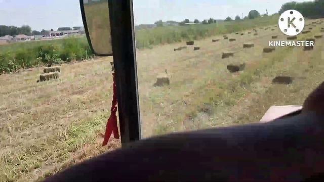 Люцерна Джея второй укос на поливе, прессую прессом Welger AP 61 смотреть онлайн