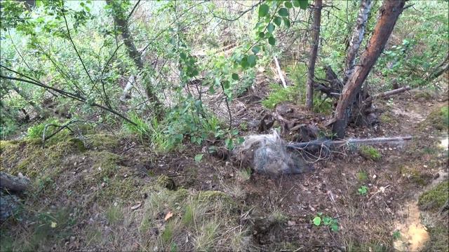 Рыбалка с женой с ночёвкой! 3 ДНЯ В ГЛУШИ! Отдых с палаткой. Рыбалка на спиннинг. Часть 3 смотреть онлайн