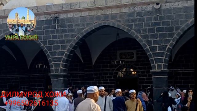 Аравон янгиликлари 2023 МАДИНА Шахридаги Гамома ва Абу бакр Р А Масжидлари хакида маьлумотлар🕌 смотреть онлайн