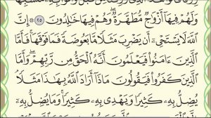 Сура "Аль-Бакара".