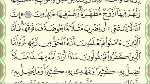 Сура "Аль-Бакара".