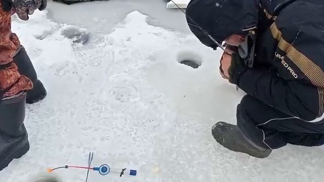 Светлые Горы Форель3 11.03.2023г. смотреть онлайн