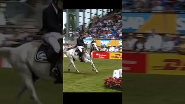 #конныйспорт#конкур ?❤️ смотреть онлайн
