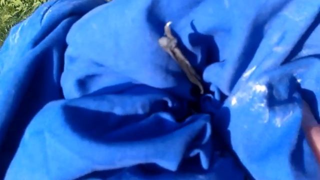 Летучая мышь против ворон. смотреть онлайн