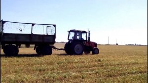 Уборка овса на силос ( Дон-680 | КСК-600 | Fortschritt  E 281-C ) [2018]