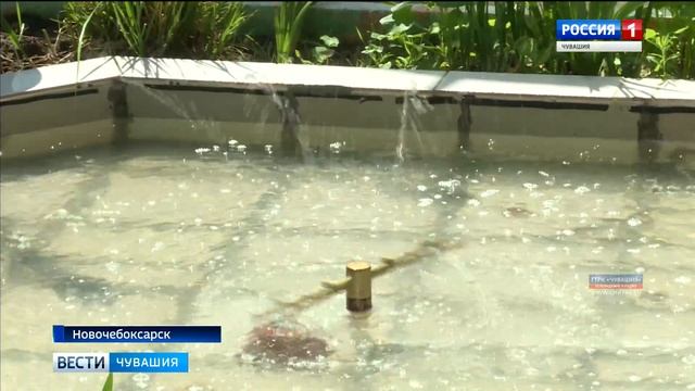 На свободу с новой профессией смотреть онлайн