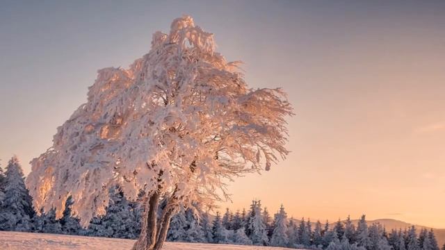 Искусство маленьких шагов смотреть онлайн