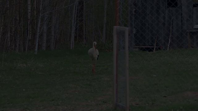 Земля-соседу , инкубатор-гусям , парничок и насос-огороду! смотреть онлайн