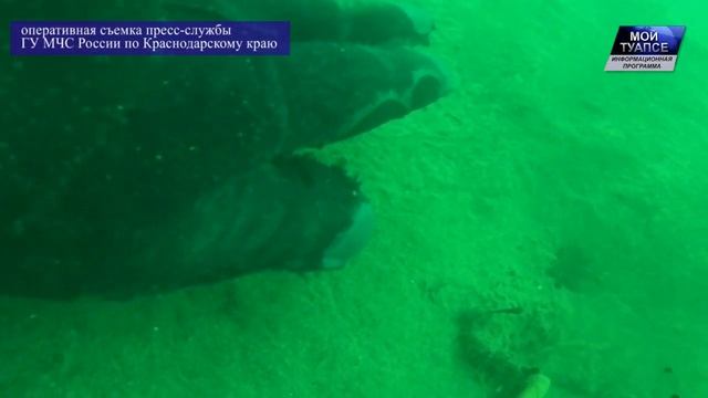 По факту загрязнения акватории Черного моря проводится расследование
