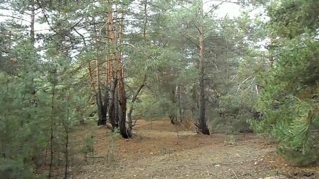 22 февраля народный праздник Никифоров День. Именинники дня. Что нельзя делать. Народные приметы смотреть онлайн