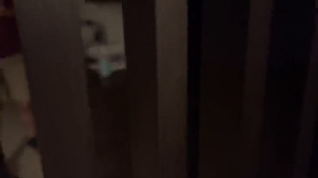 Абдурозика ПРАНК кадем?/ Abdurozik PRANK смотреть онлайн