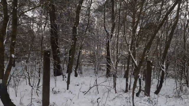 ДАЧА С НУЛЯ. СВОИМИ РУКАМИ.НАЧАЛО. ВЫКОРЧЕВЫВАНИЕ ПНЕЙ. ЧАСТЬ 1 смотреть онлайн