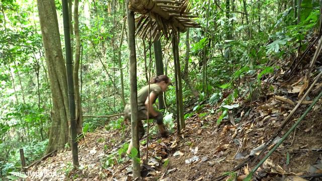 Survival Skills, Catching Traps, Catching Wild Boars, Survival Alone