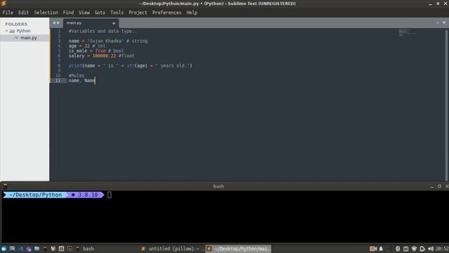 Python Programming Tutorial 1 - Data types and variable смотреть онлайн