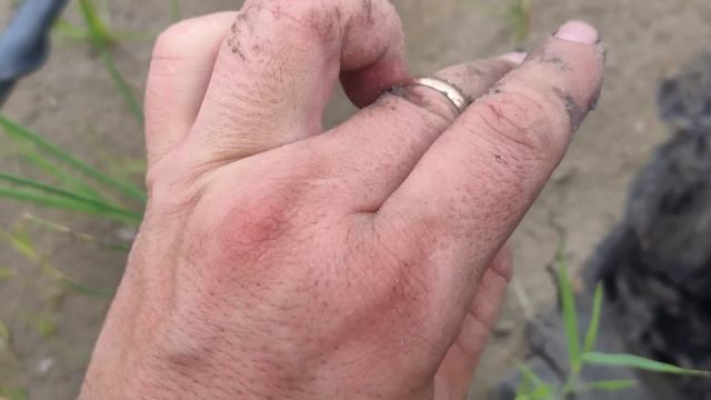 Золото со дна озера Фарт Фарт Фарт камрады смотреть онлайн