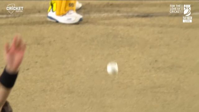 Ice-cool Green, Carey star in chase after Maxwell’s four | Australia v New Zealand 2022 смотреть онлайн