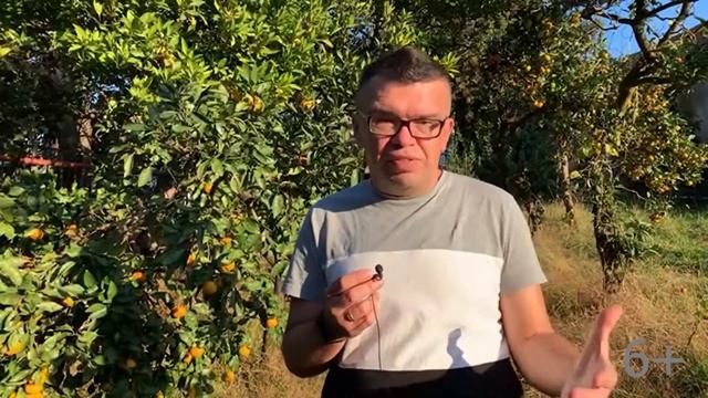 Как назвать канал на YouTube с прогулками по городу? | Идеи для туристических видео смотреть онлайн