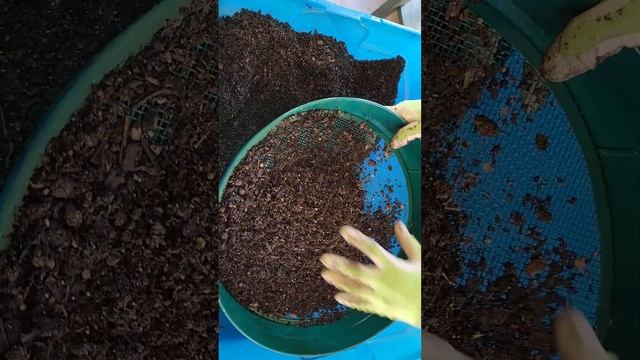 2nd Sifter Try...I'm gettin' there ? смотреть онлайн