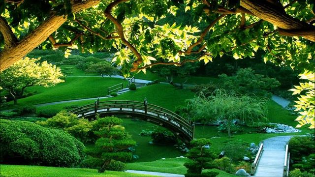 Zen Music | Ringtones for Android | Instrumental Ringtones смотреть онлайн