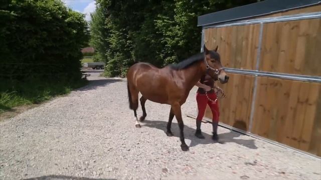 HORSE'S LINE FLEURUS смотреть онлайн