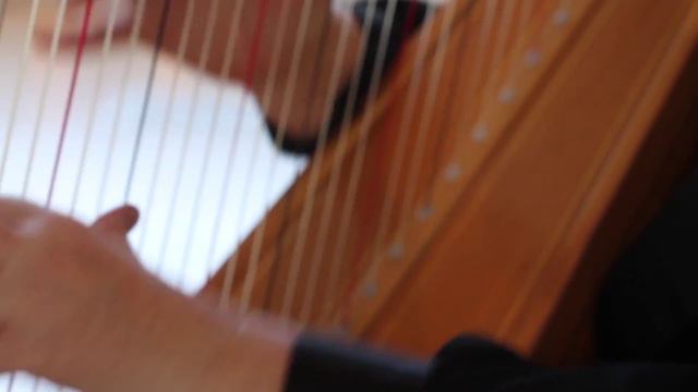 Harp Duo With Cello | Wedding Music | Colorado Musicians | A Music Plus Entertainment