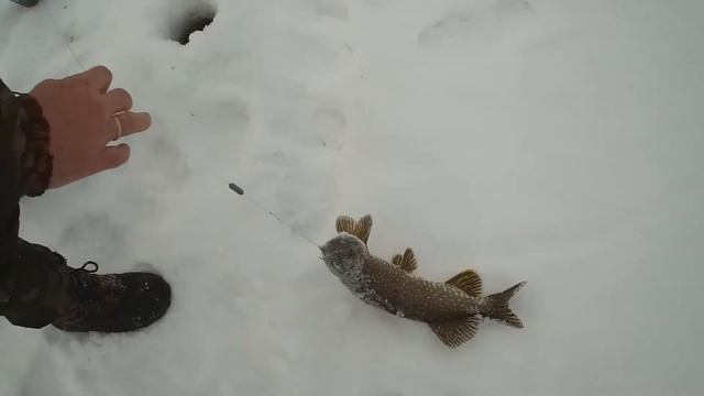 РЫБАЛКА НЕДАЛЕКО ОТ ГОРОДА! смотреть онлайн