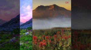 Шота Багаев ერთი გოგო