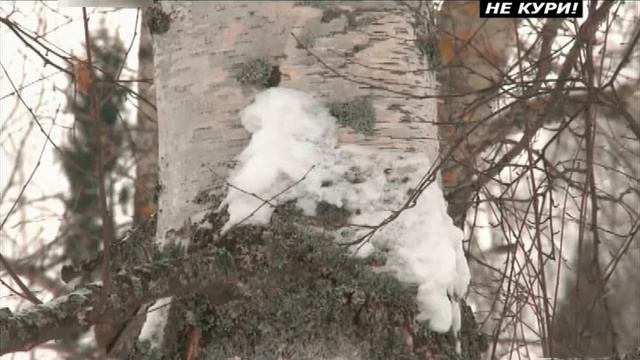 Загонная охота на зайца - 2021г смотреть онлайн