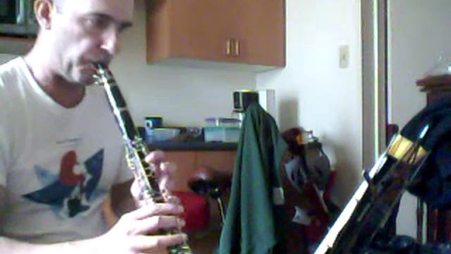 Jazz - Shadow of your smile - Howard Mack Clarinet Solo смотреть онлайн