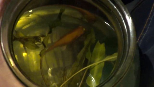 3-8 Золотая(ые) рыбка(и) Globalwave - Глобальная Волна смотреть онлайн