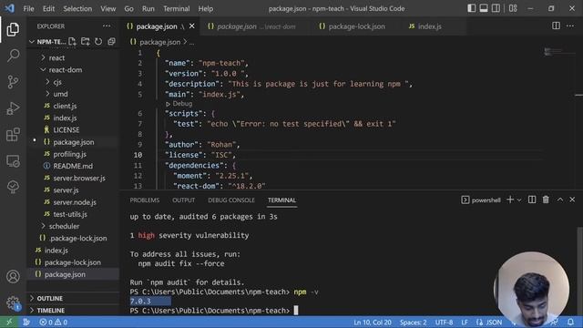 Understanding peer dependencies | NPM - Complete Beginners Guide | Rohan Prasad смотреть онлайн
