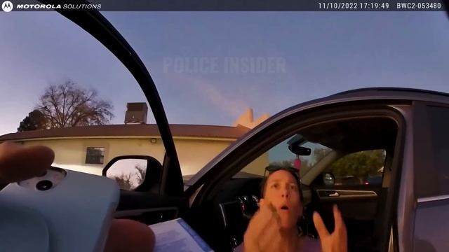 Drunk, Demanding & Entitled: The Most Painful Drunk Woman смотреть онлайн
