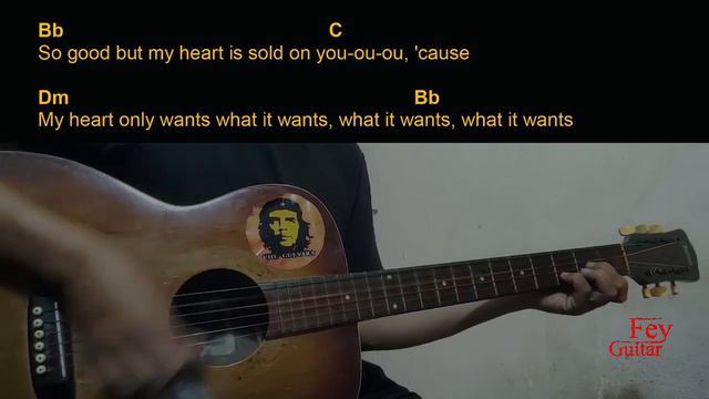 Bebe Rexha - Heart Wants What It Wants Guitar Chords cover смотреть онлайн