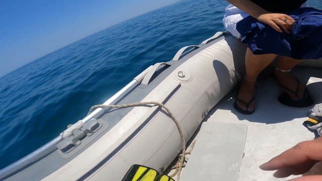 Sailing Ocean Rose, Ep 4