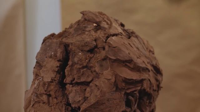 Худший подарок на Рождество: дело Алексиса Вальдеса / МАРАФОН ИСТОРИЙ №11 смотреть онлайн