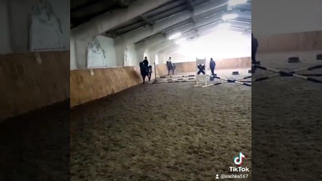 конный спорт. Мои первые тренировки, после долгого перерыва длиною в 23года?♀️ смотреть онлайн