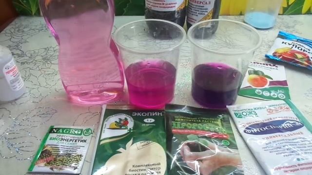ПРОТРАВЛИВАТЬ СЕМЕНА МАРГАНЦОВКОЙ - С ОСТОРОЖНОСТЬЮ! Ольга Чернова. смотреть онлайн