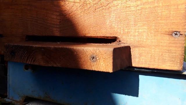 Как оставлять летки в зиму? Готовимся к зимовке. смотреть онлайн